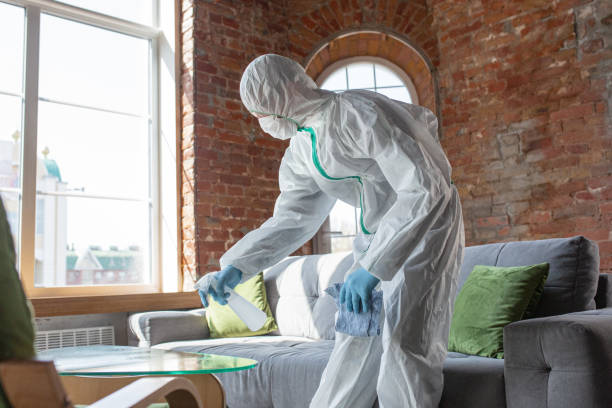 Best Industrial Mold Remediation in Rumson, NJ