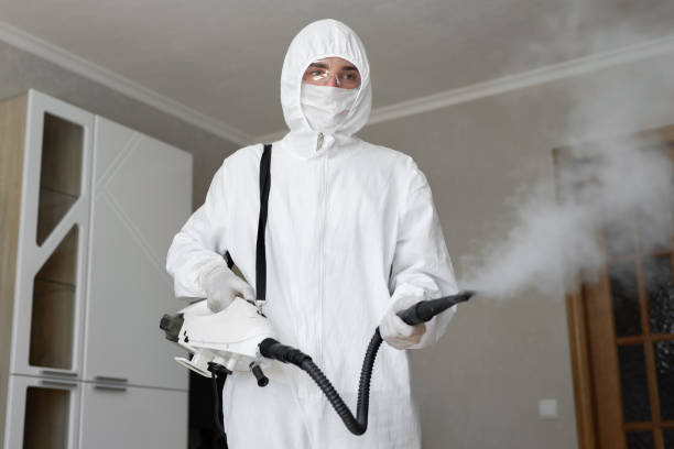 Best Forensic Mold Investigation in Rumson, NJ