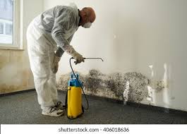 Best Mold Odor Removal Services in Rumson, NJ